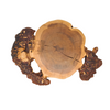 Maple Burl Slab with Inlays