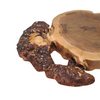 Maple Burl Slab with Inlays
