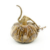 Plush Velvet Pumpkins