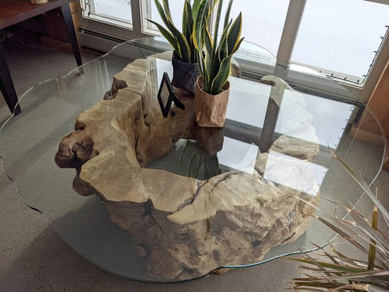 ROOT BURL COFFEE TABLE - Andrew Pearce Bowls