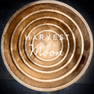  'The Harvest Moon' Salad Recipe Contest Winners!