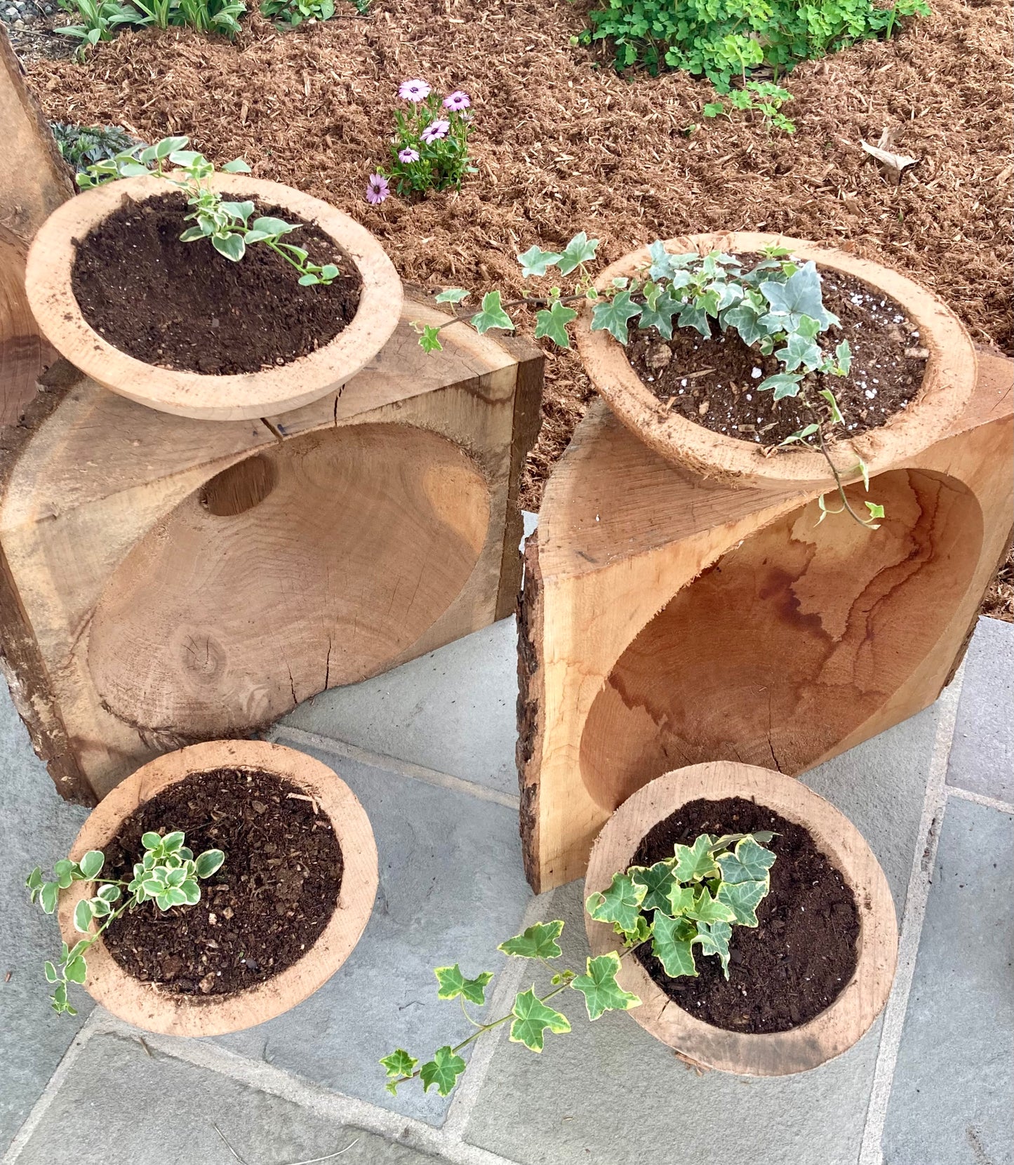 DIY GUIDE: Rough Bowl Planters