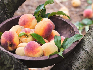  Walnut Wooden Bowl shown in nature filled with peaches