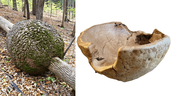 The Hidden Beauty of Burl Wood: One-of-a-Kind Handcrafted Bowls