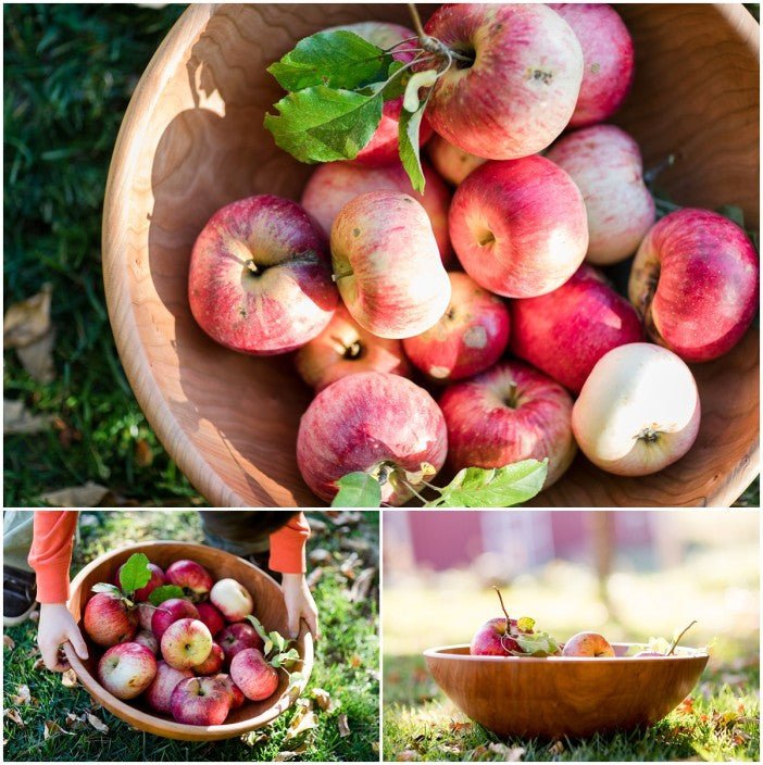 Life in Landaff: Apple Picking