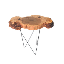  'Peregrine' Burl Wood End Table