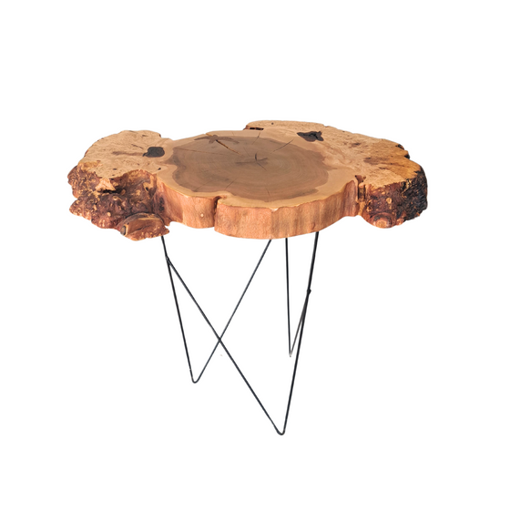 'Peregrine' Burl Wood End Table