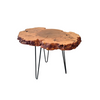 'Barred Owl' Burl Wood End Table