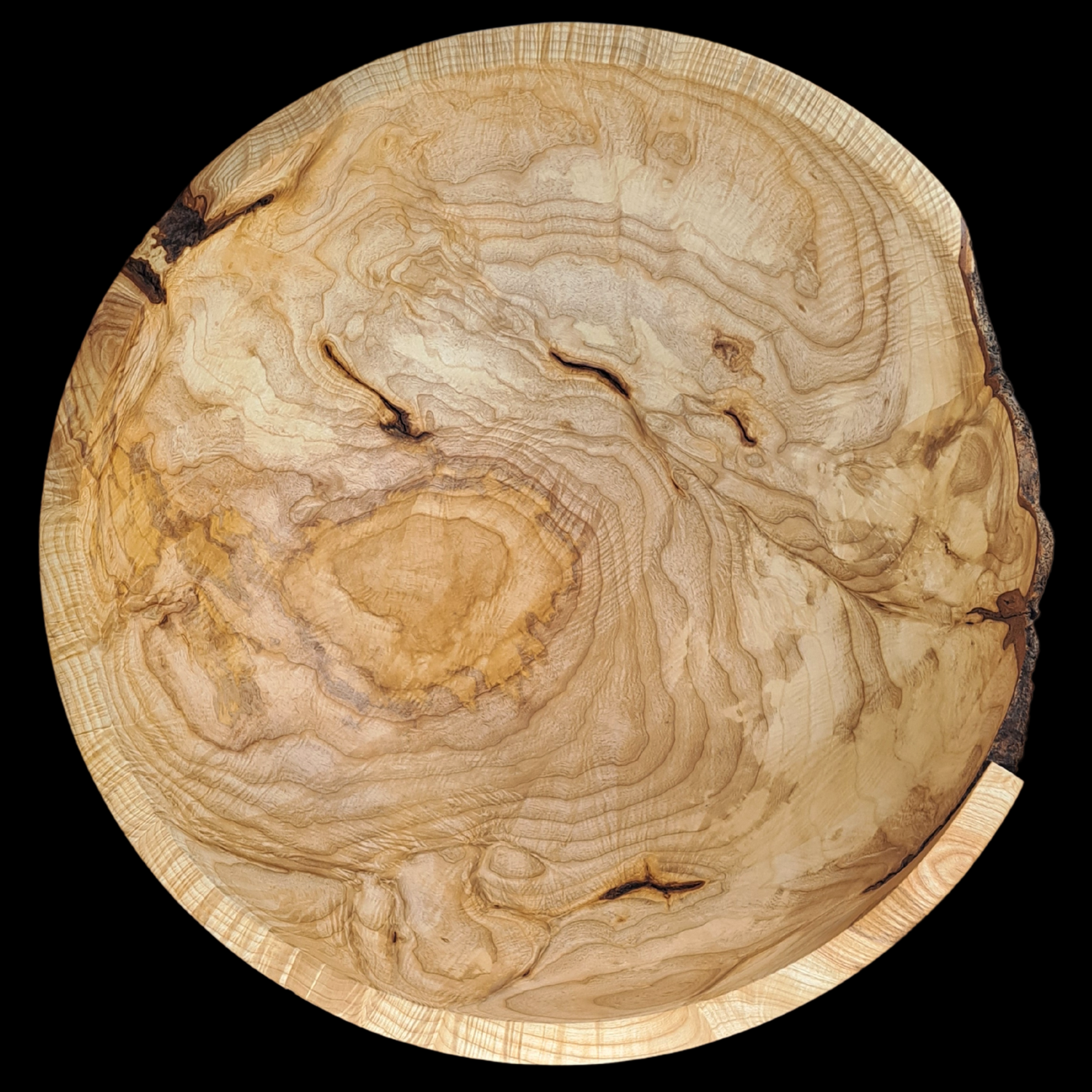 Overhead view of massive ash burl wood bowl luxury gift