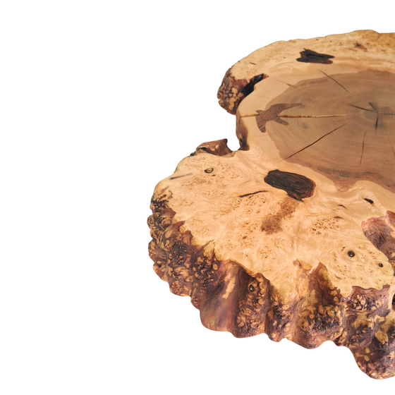 'Peregrine' Burl Wood End Table