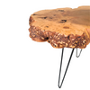 'Barred Owl' Burl Wood End Table