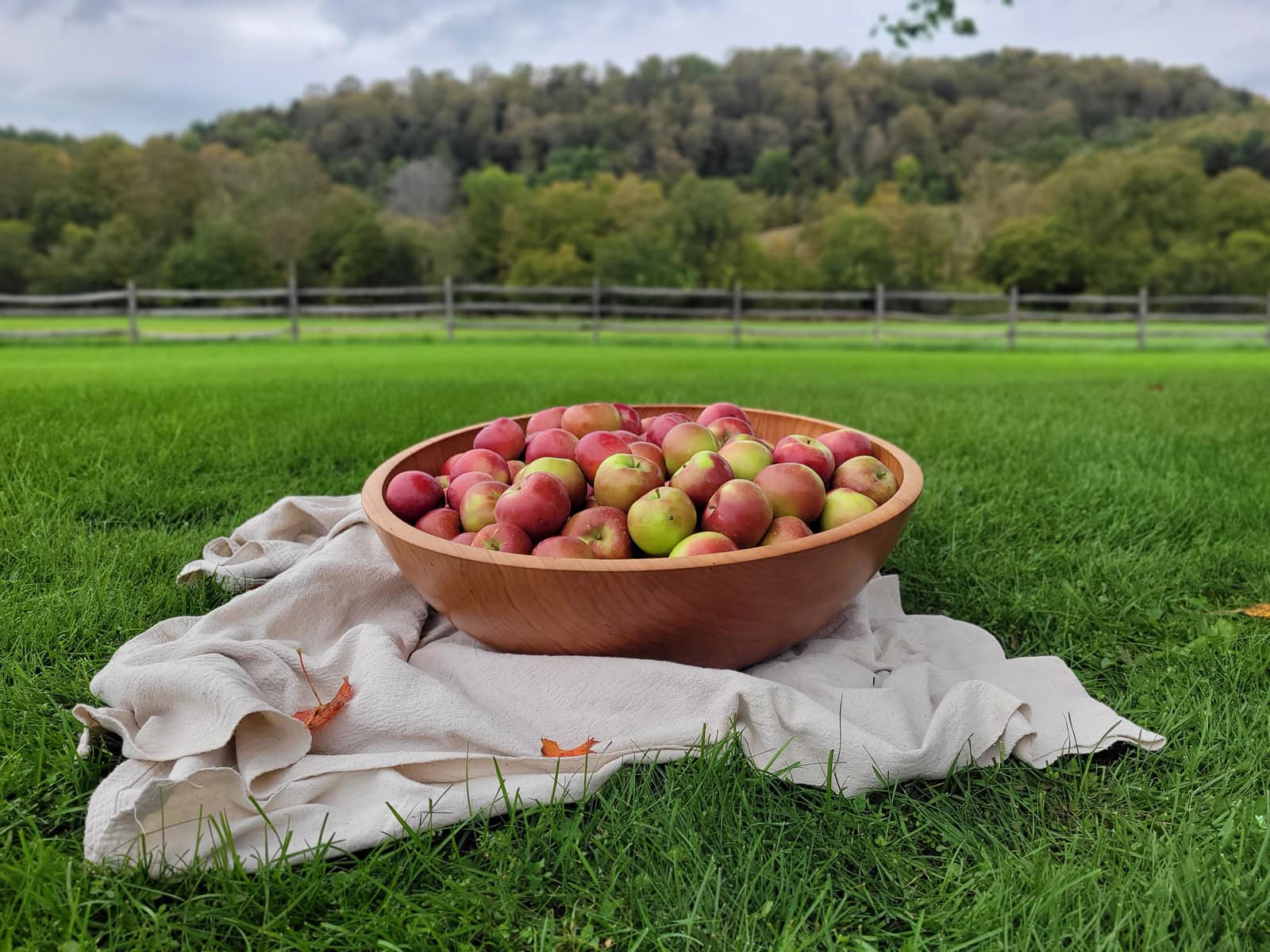 THE GRAND GATHERING BOWL