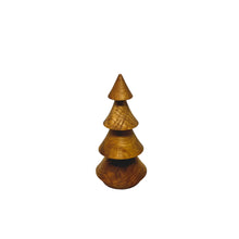  Medium Ash Burl Tree
