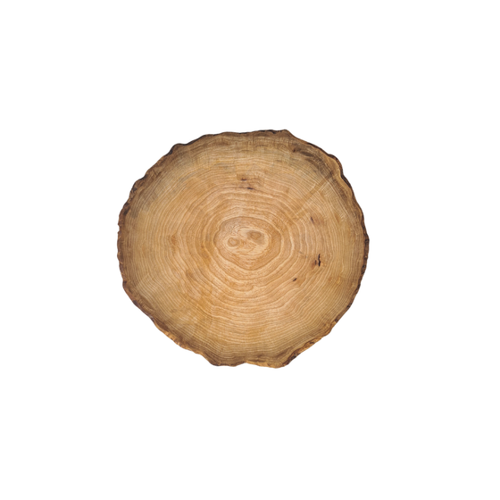 Rams Head Burl Bowl Home Decor Art top view
