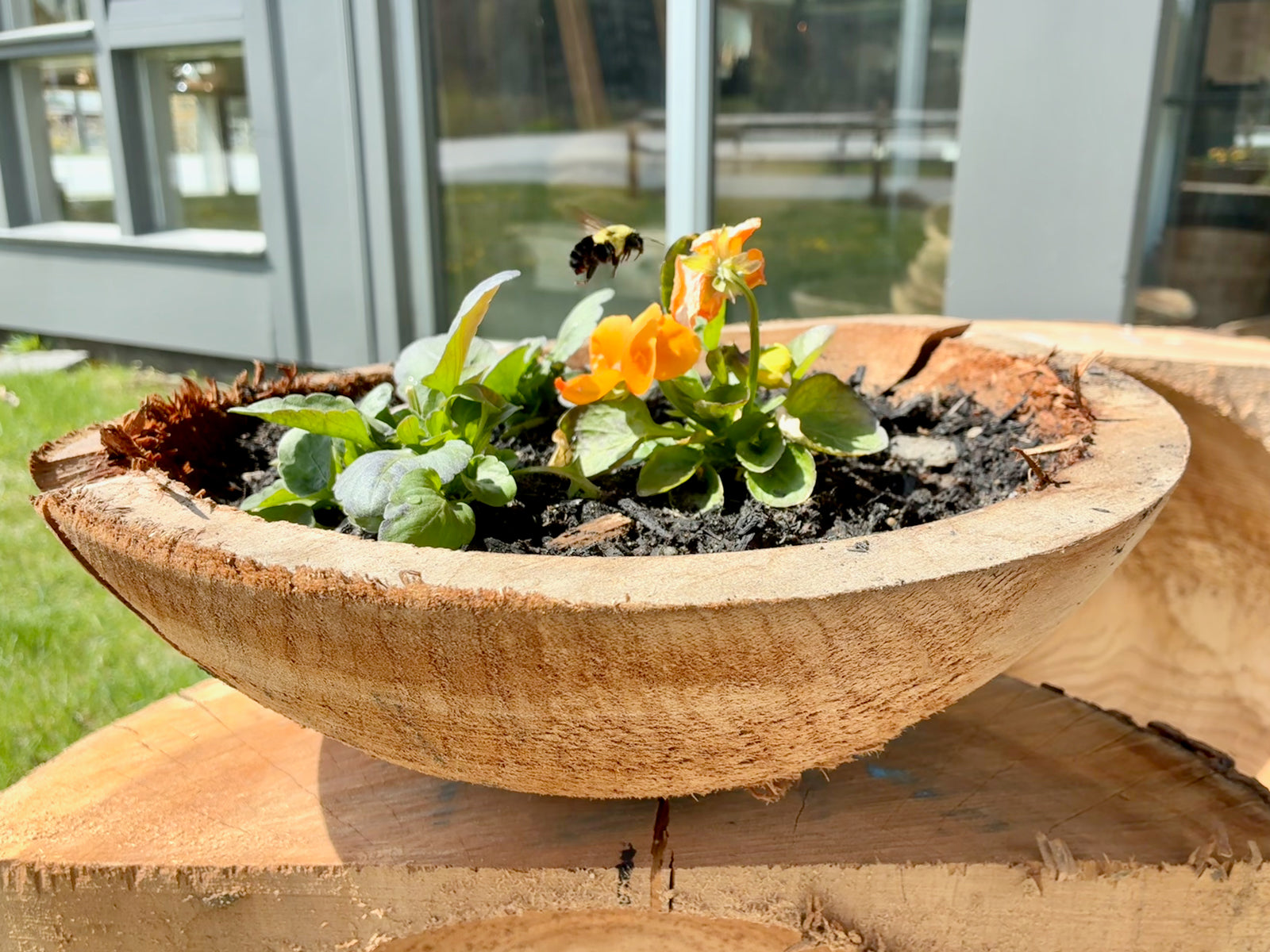 RUSTIC CHARACTER, PREMIUM HARDWOOD