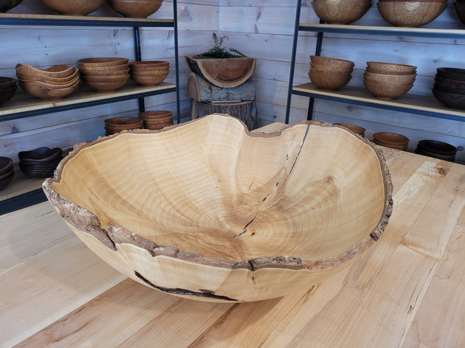 FLOWING BURL GRAIN IN A LOW, ELEGANT FORM