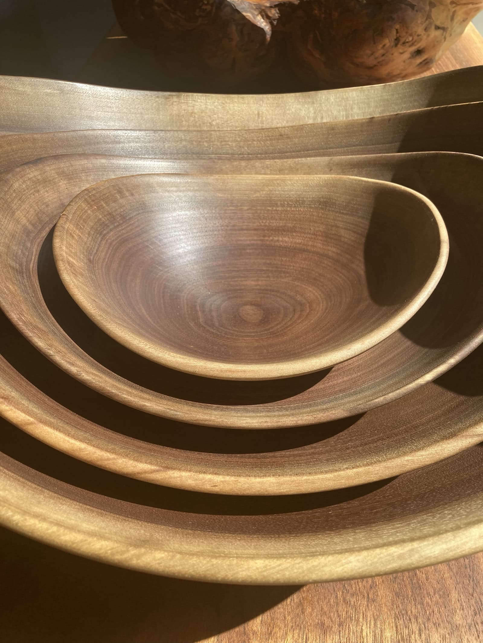 NATURE'S SHAPE IN A SMALL PACKAGE