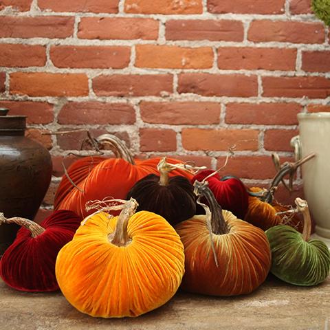 Velvet Pumpkins - Andrew Pearce Bowls | eggplant / 3"