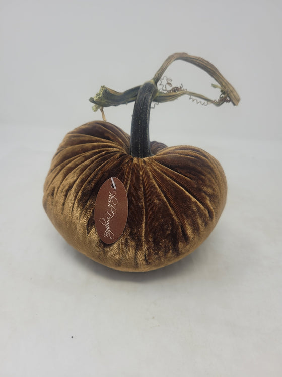 Velvet Pumpkins - Andrew Pearce Bowls | apricot / 5"